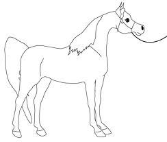 Horse 5
